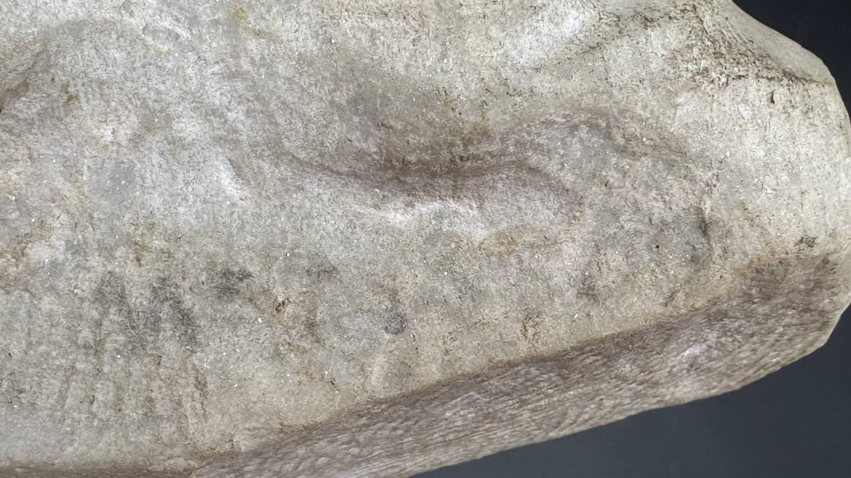 Scultura, busto in marmo " Fanciulla"(Giovanna D'Arco?)- XIX sec. -photo-6