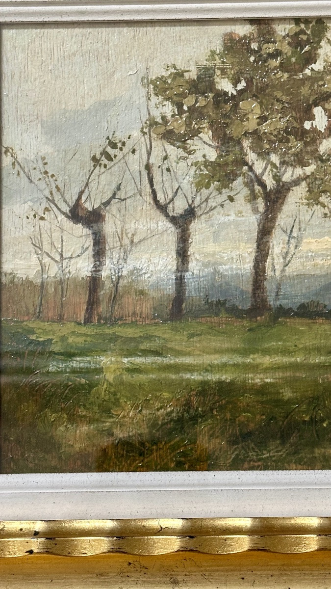 Dipinto “Paesaggio con alberi”, firmato Giuseppe Gheduzzi - XX sec. -photo-3