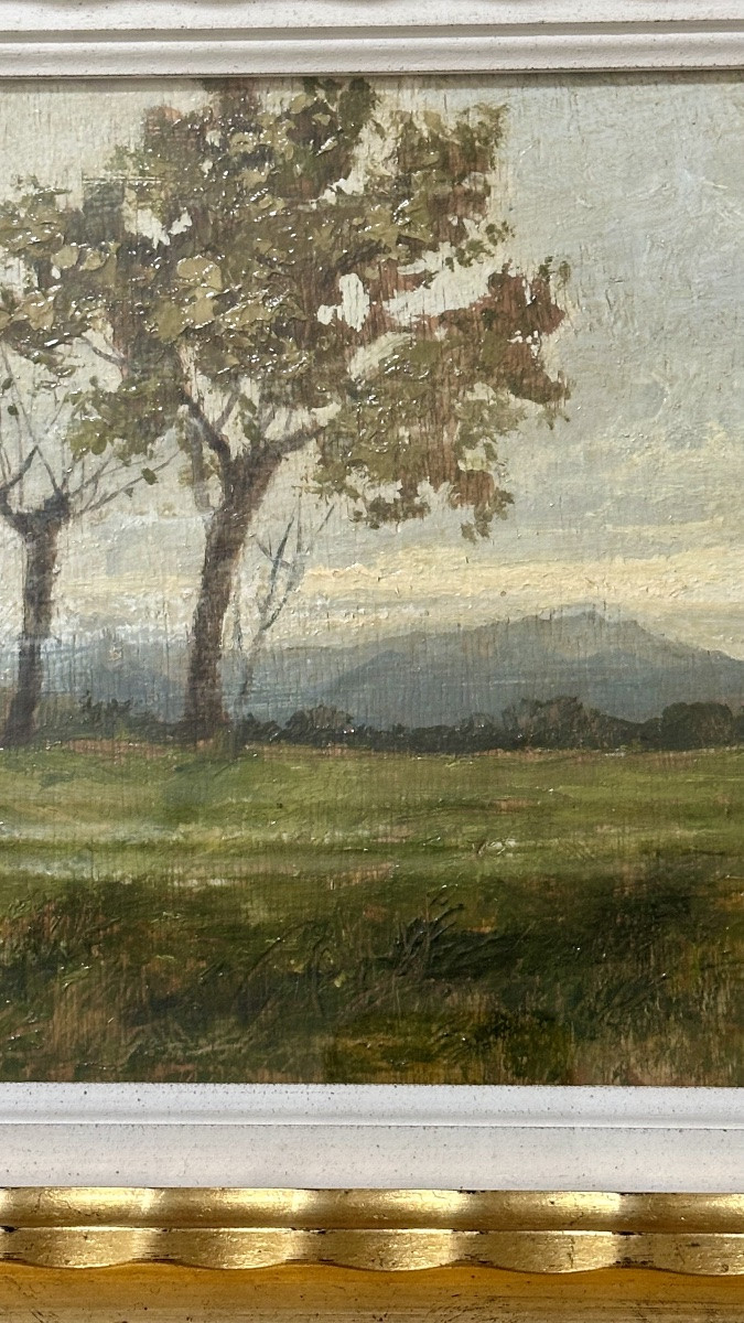 Dipinto “Paesaggio con alberi”, firmato Giuseppe Gheduzzi - XX sec. -photo-4