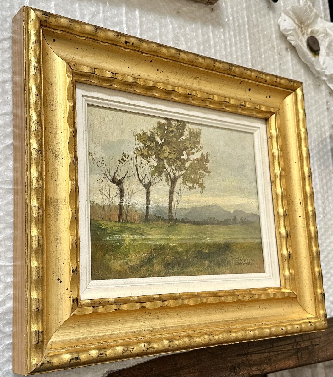Dipinto “Paesaggio con alberi”, firmato Giuseppe Gheduzzi - XX sec. -photo-3