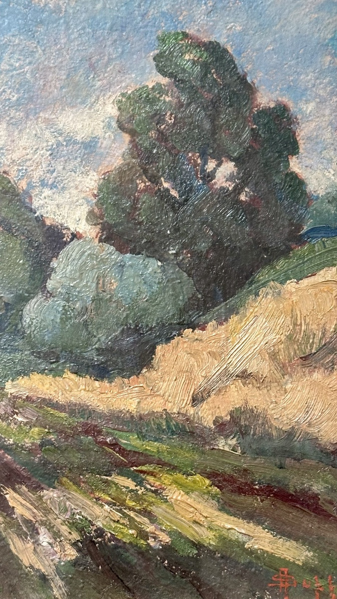 Dipinto “Paesaggio rurale”, firmato Alfredo Suppo – XX sec.-photo-3