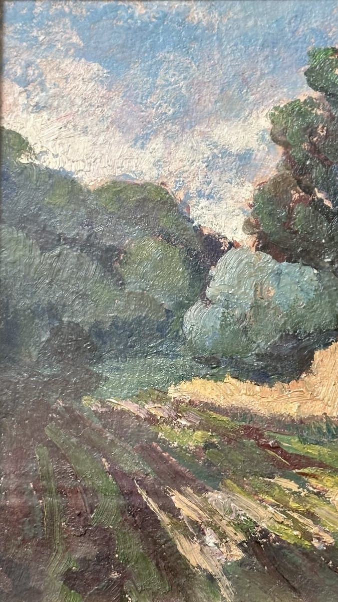 Dipinto “Paesaggio rurale”, firmato Alfredo Suppo – XX sec.-photo-4