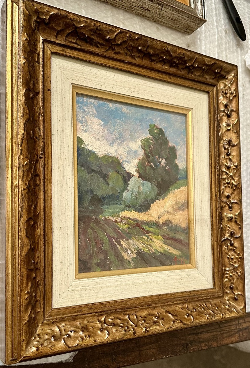Dipinto “Paesaggio rurale”, firmato Alfredo Suppo – XX sec.-photo-2