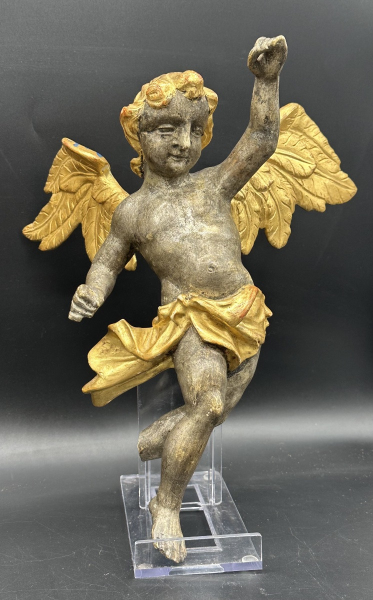 Coppia di Angeli Alati in Legno argentato e Dorato – Inizi del XVIII sec. -photo-3