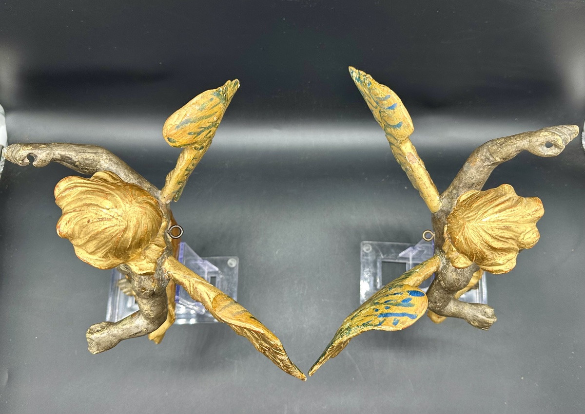 Coppia di Angeli Alati in Legno argentato e Dorato – Inizi del XVIII sec. -photo-3