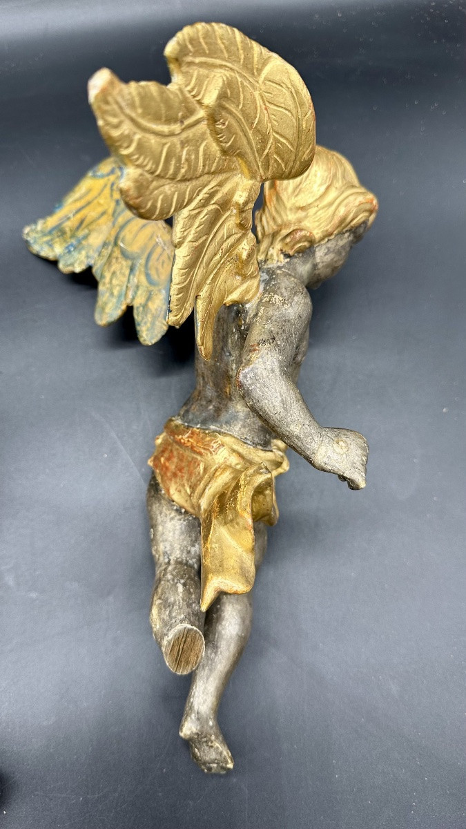Coppia di Angeli Alati in Legno argentato e Dorato – Inizi del XVIII sec. -photo-8
