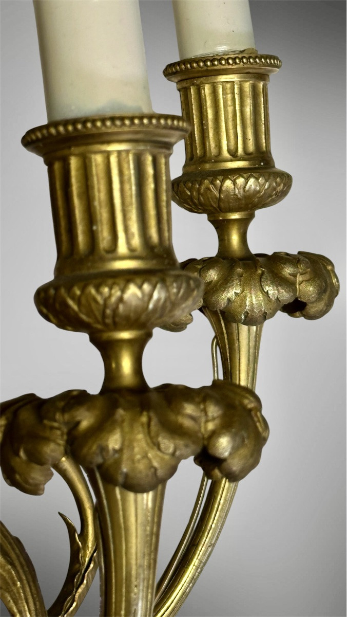 Coppia di Appliques in Bronzo Dorato a Tre Luci – Luigi XVI-photo-2