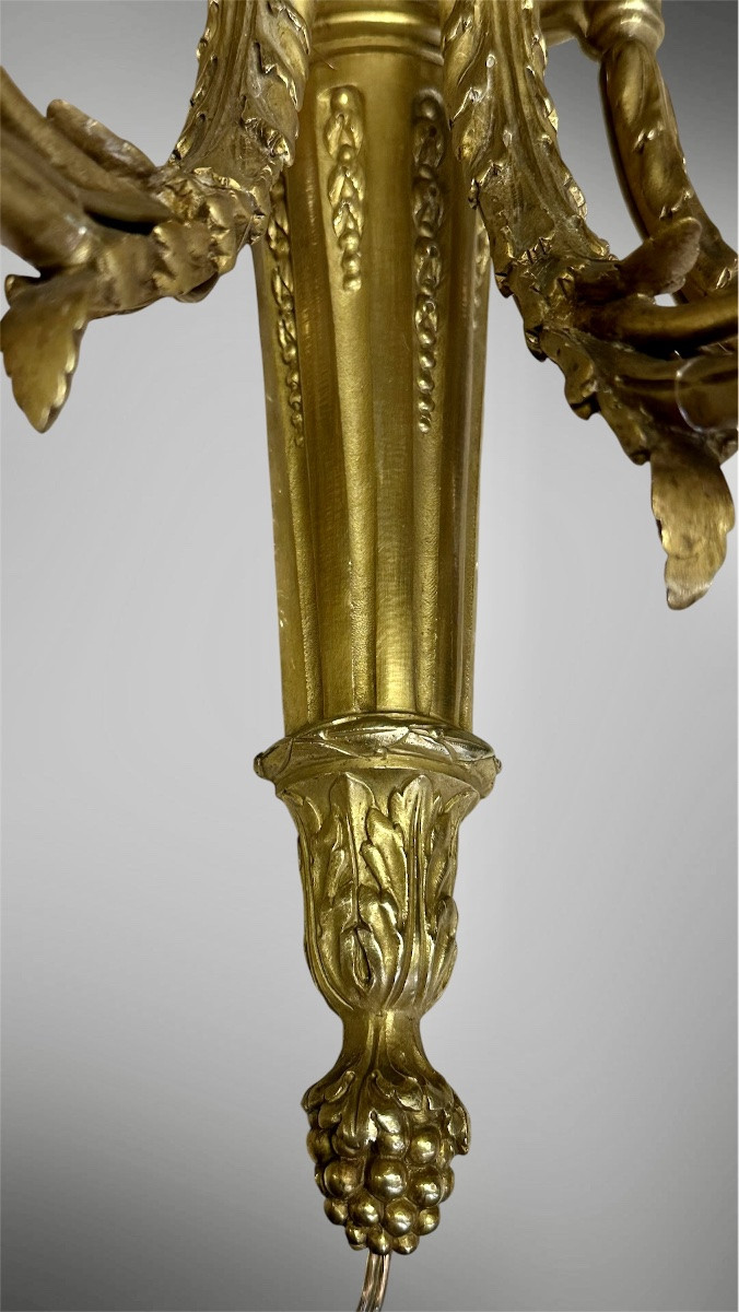 Coppia di Appliques in Bronzo Dorato a Tre Luci – Luigi XVI-photo-3