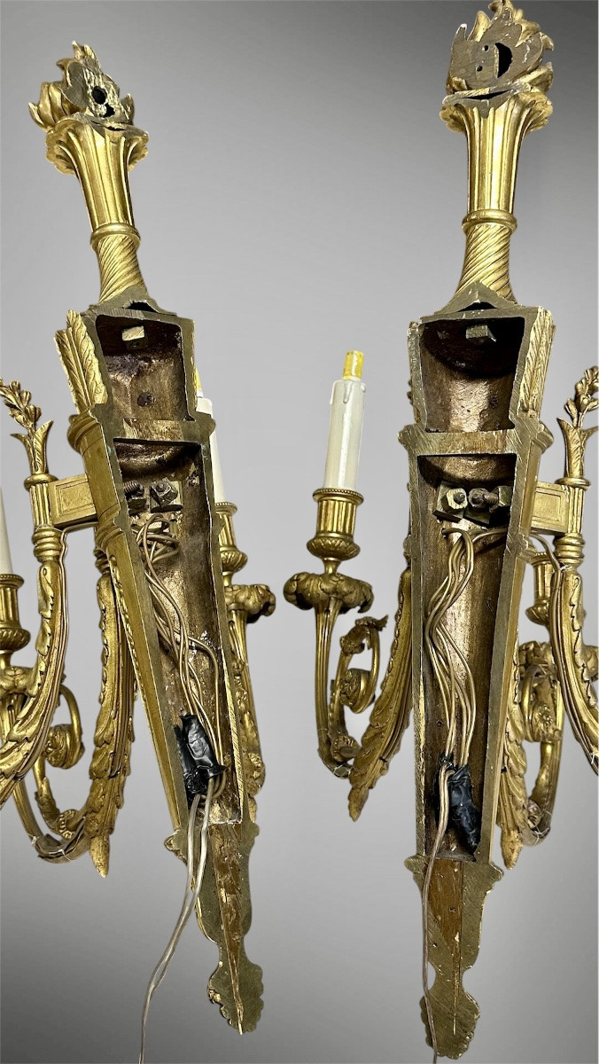 Coppia di Appliques in Bronzo Dorato a Tre Luci – Luigi XVI-photo-6