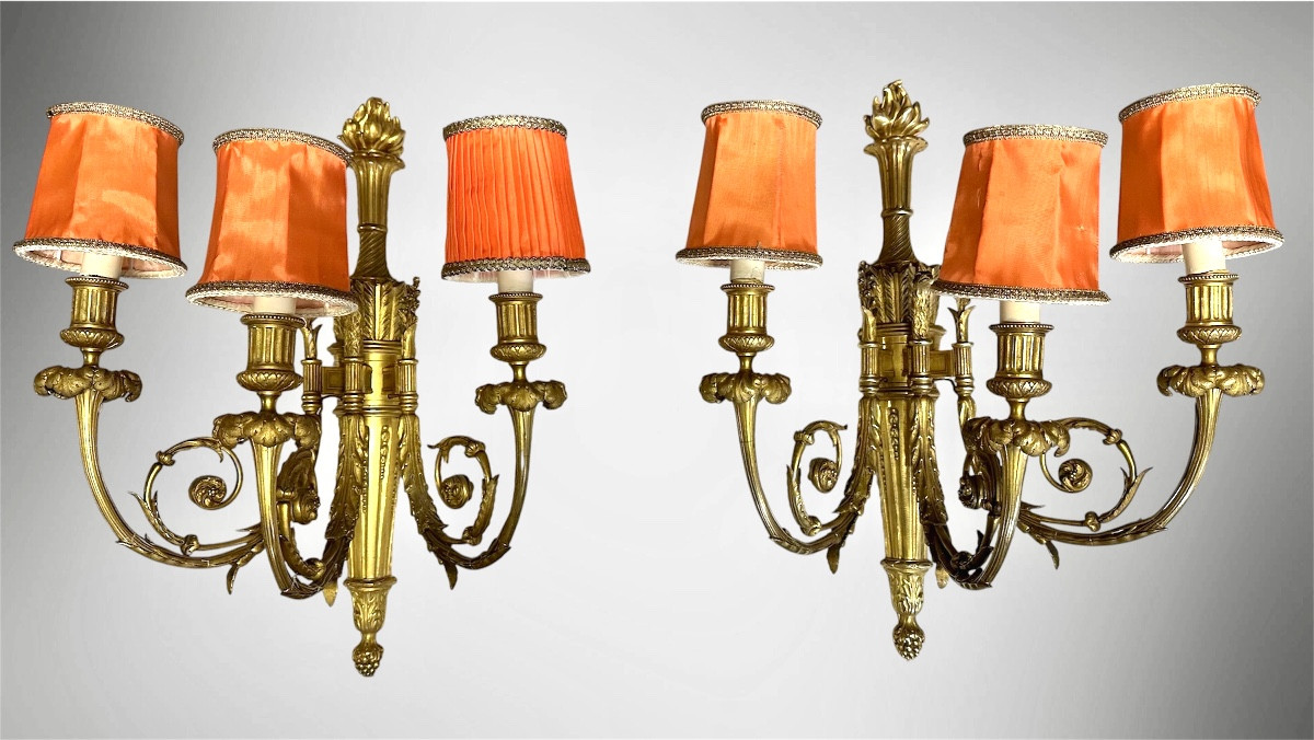Coppia di Appliques in Bronzo Dorato a Tre Luci – Luigi XVI