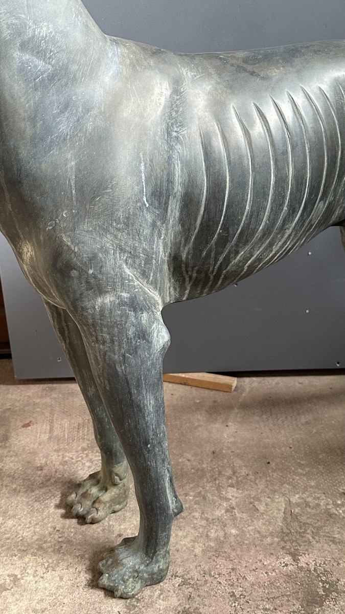 Scultura in bronzo raffigurante cane di tipo levriero / Xoloitzcuintli stilizzato - primo ‘900-photo-3