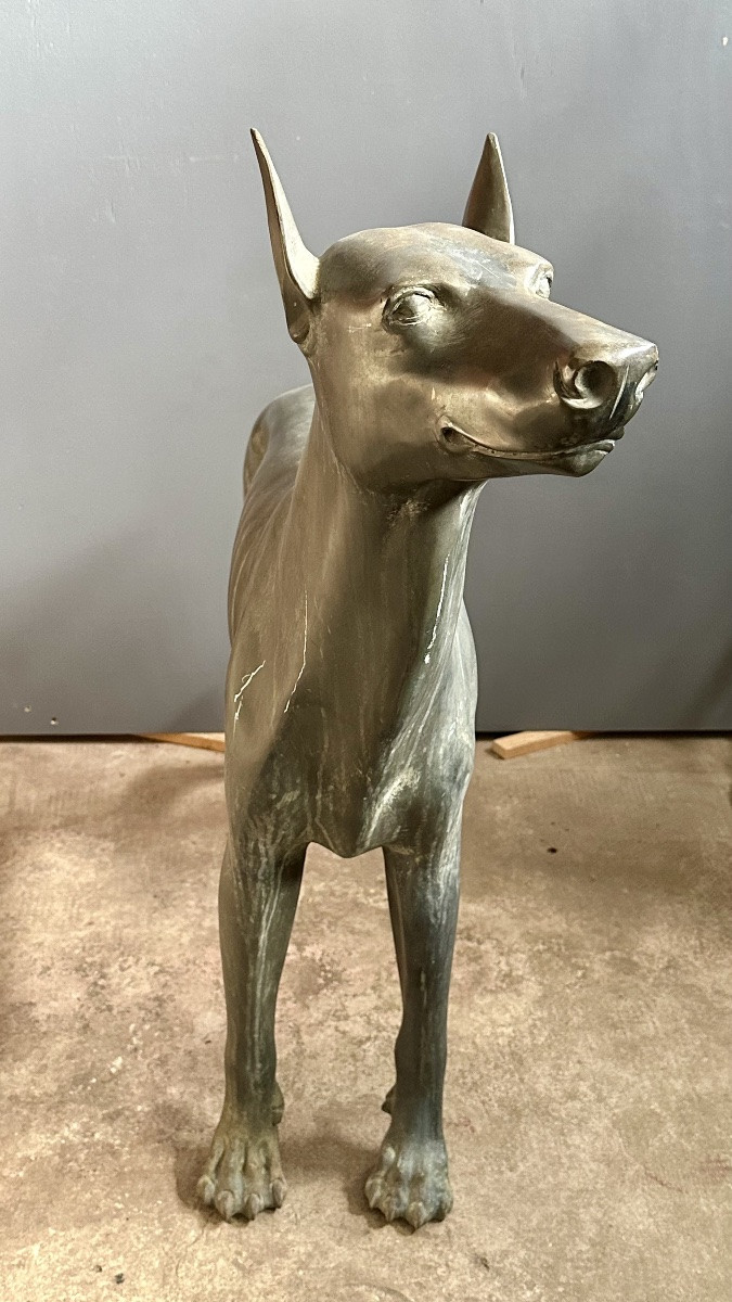 Scultura in bronzo raffigurante cane di tipo levriero / Xoloitzcuintli stilizzato - primo ‘900-photo-1