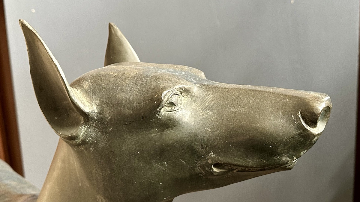 Scultura in bronzo raffigurante cane di tipo levriero / Xoloitzcuintli stilizzato - primo ‘900-photo-2