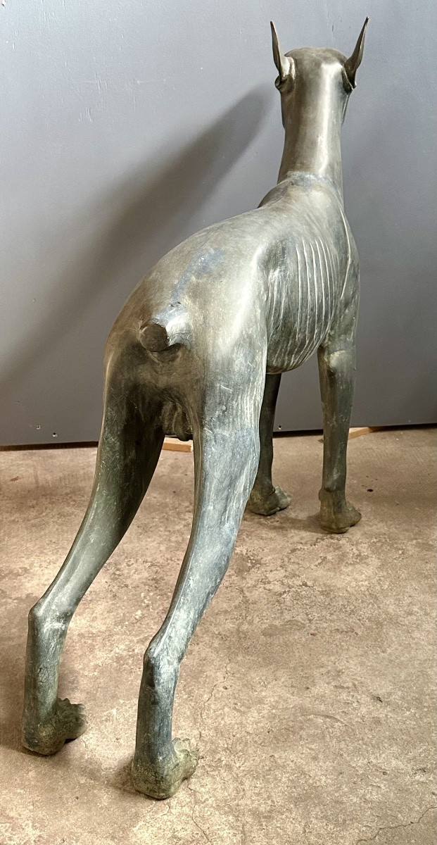 Scultura in bronzo raffigurante cane di tipo levriero / Xoloitzcuintli stilizzato - primo ‘900-photo-3