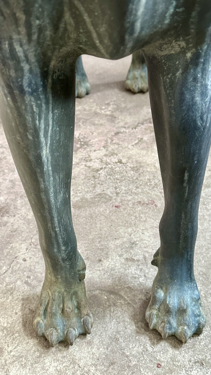 Scultura in bronzo raffigurante cane di tipo levriero / Xoloitzcuintli stilizzato - primo ‘900-photo-5