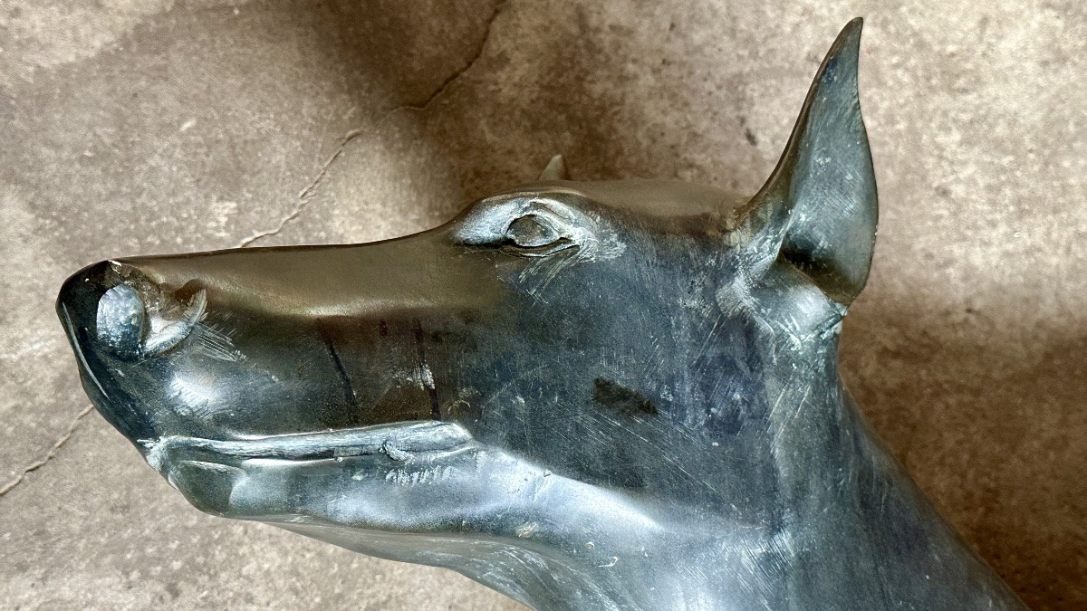 Scultura in bronzo raffigurante cane di tipo levriero / Xoloitzcuintli stilizzato - primo ‘900-photo-8