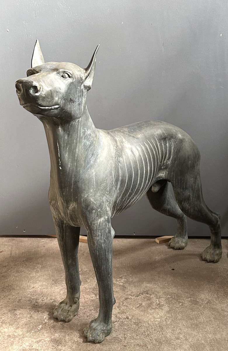 Scultura in bronzo raffigurante cane di tipo levriero / Xoloitzcuintli stilizzato - primo ‘900
