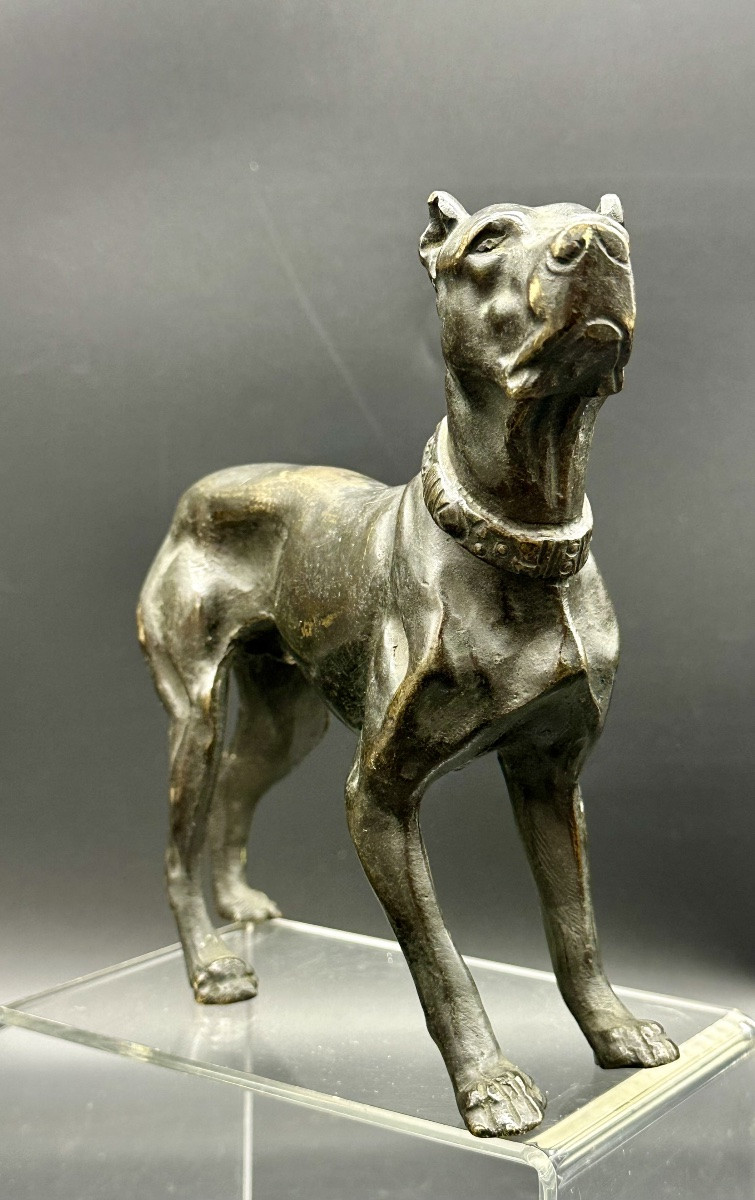 Scultura “Cane in Attesa” in Bronzo Patinato – XIX secolo-photo-2