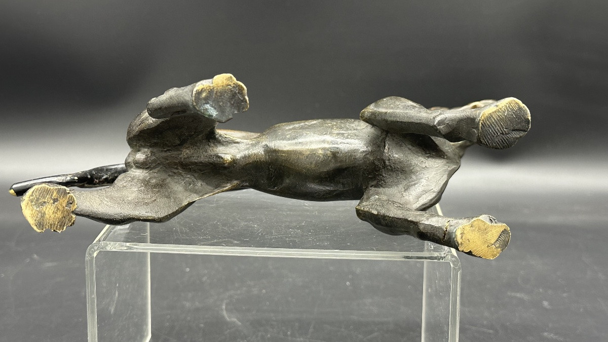Scultura “Cane in Attesa” in Bronzo Patinato – XIX secolo-photo-2