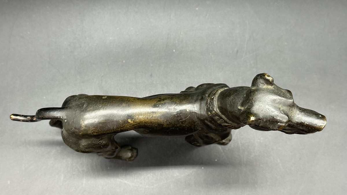 Scultura “Cane in Attesa” in Bronzo Patinato – XIX secolo-photo-3