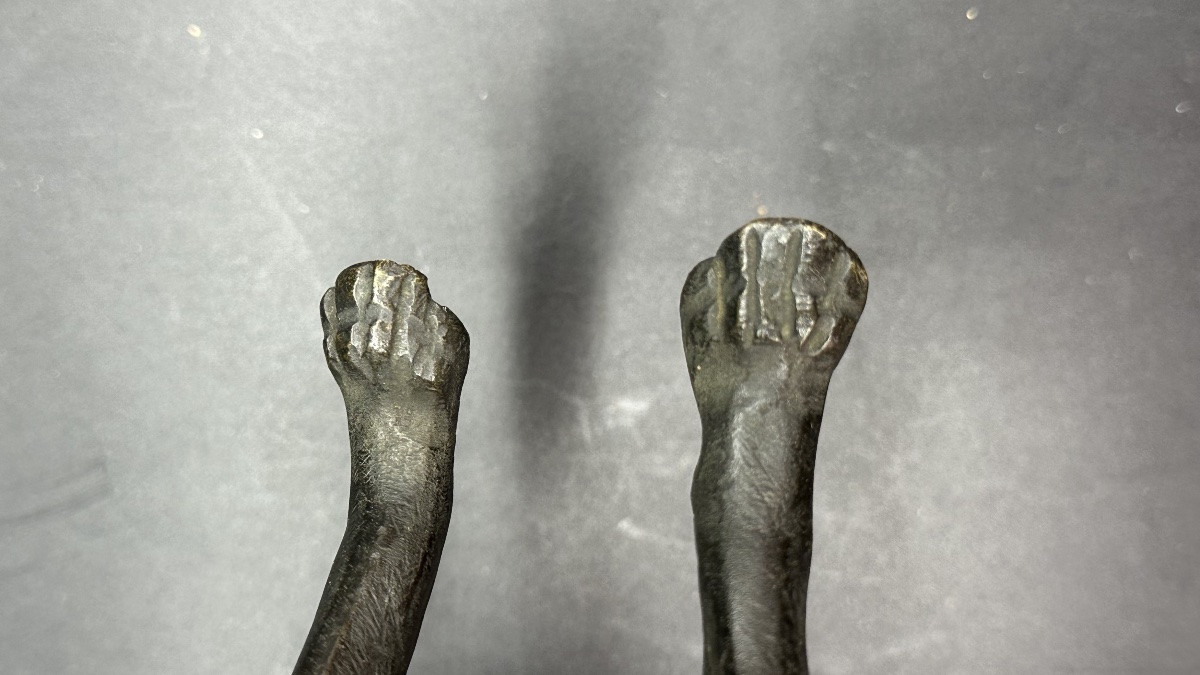 Scultura “Cane in Attesa” in Bronzo Patinato – XIX secolo-photo-4