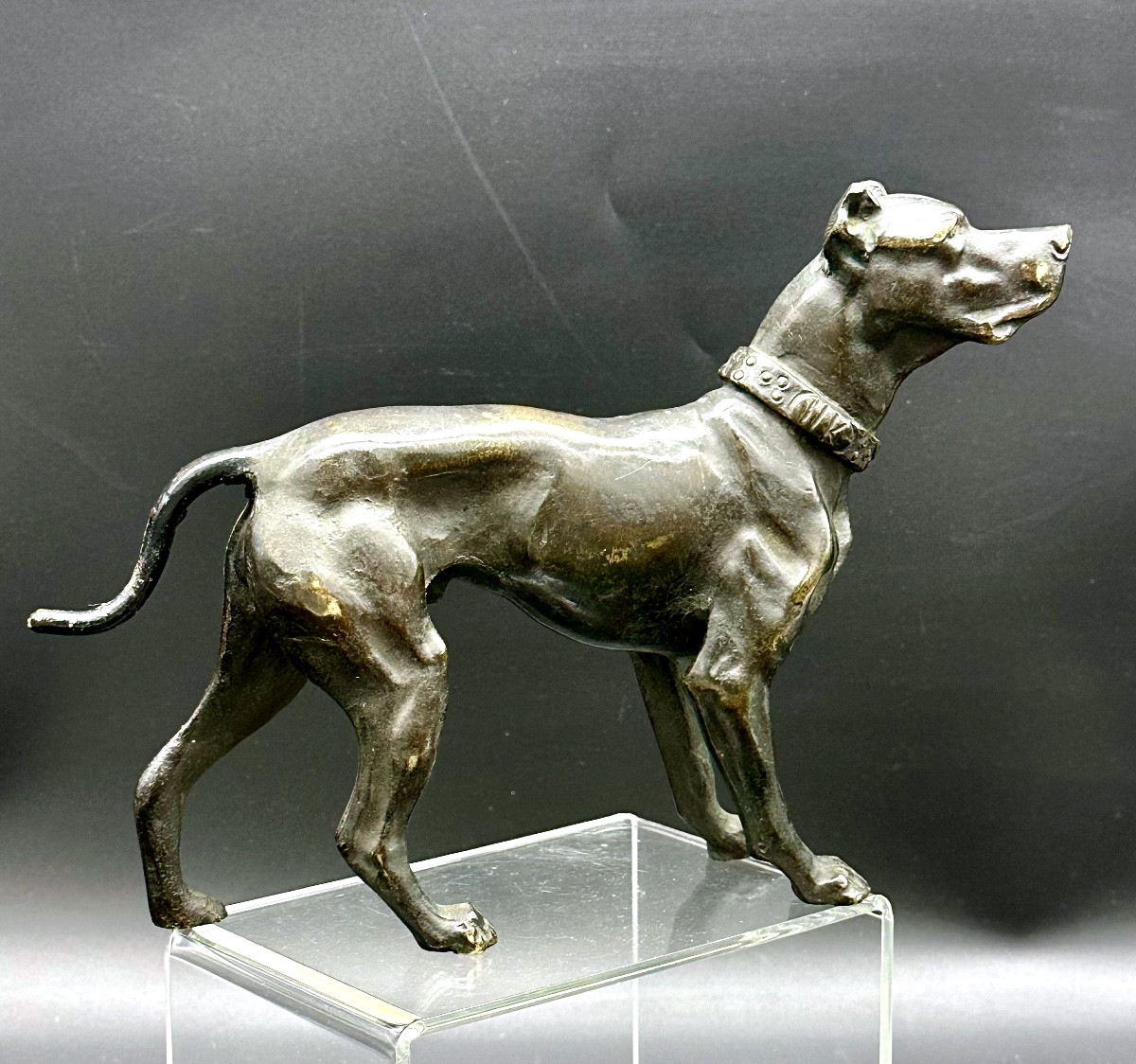 Scultura “Cane in Attesa” in Bronzo Patinato – XIX secolo