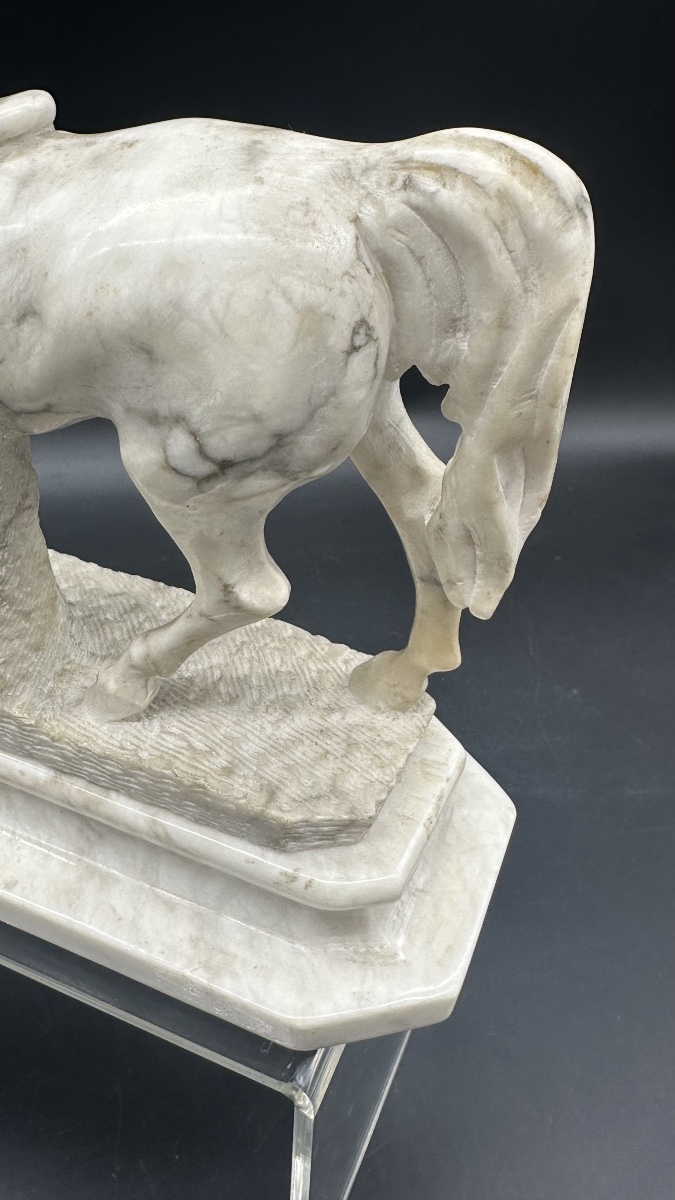 Scultura equestre in marmo bianco - XIX SEC. -photo-4