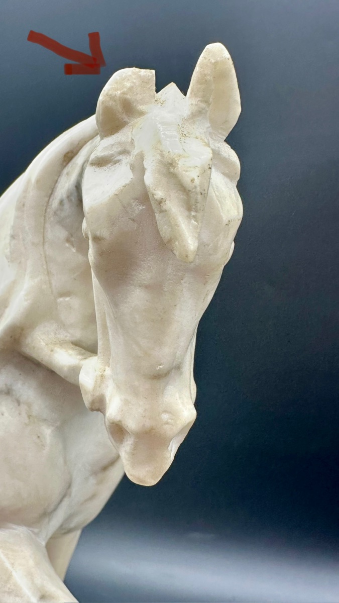 Scultura equestre in marmo bianco - XIX SEC. -photo-6