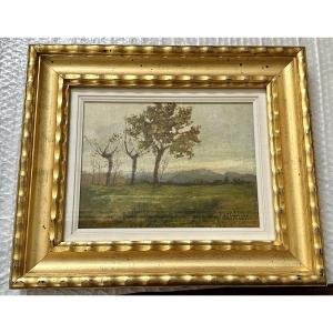 Dipinto “Paesaggio con alberi”, firmato Giuseppe Gheduzzi - XX sec. 