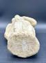 1818354-alb-6a9fe962add47.jpg