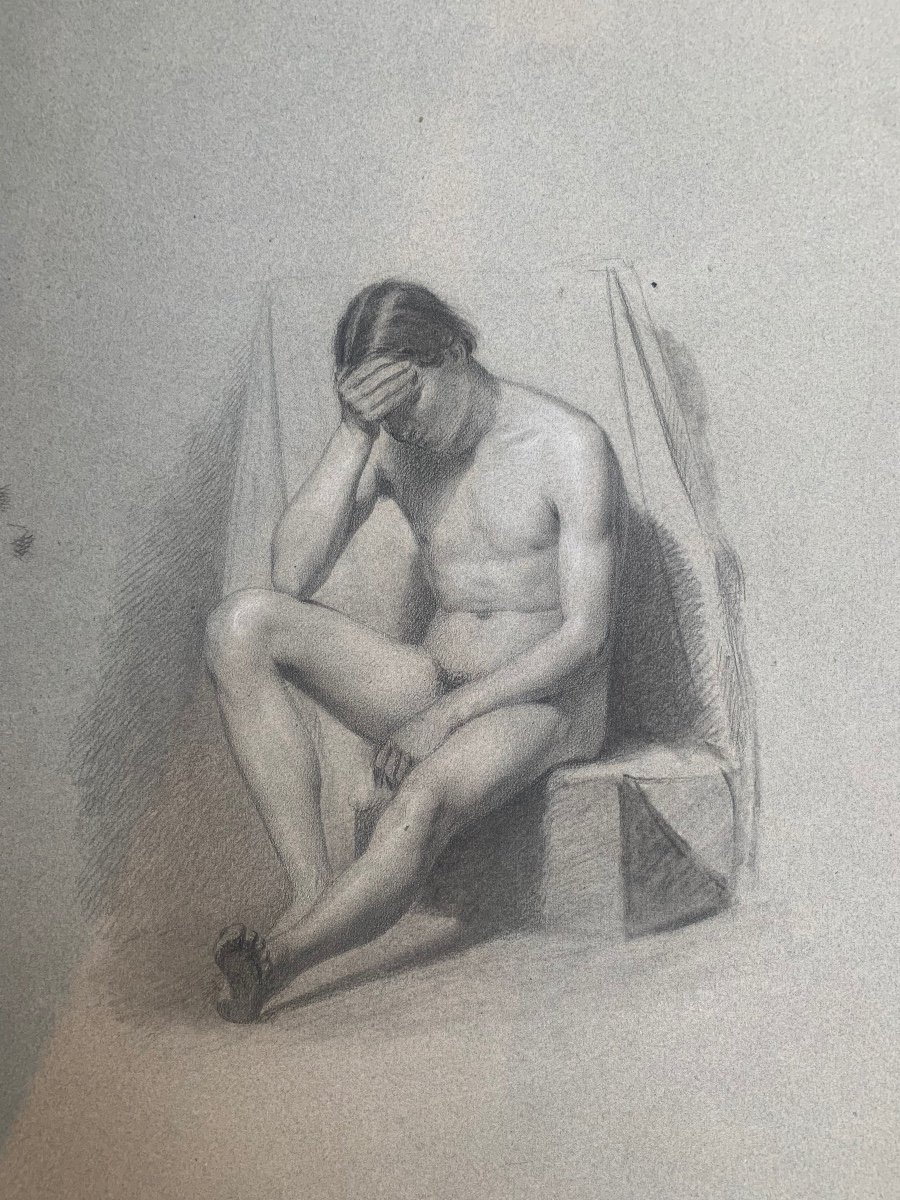 Studio anatomico del nudo maschile. XIX secolo