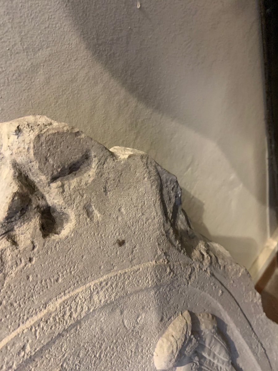 Stemma di famiglia Este con aquila Coronata . XVI-XVIII secolo-photo-3