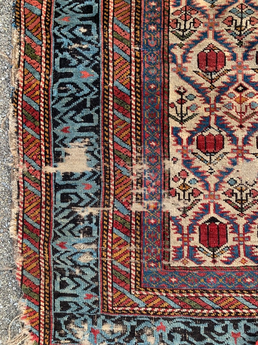 Shirvan . Meta del XIX secolo. Tappeto caucasico con bellissima bordura. Da restaurare.-photo-2