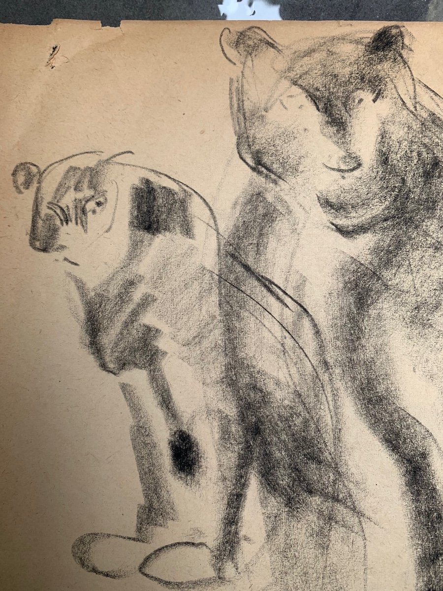 Disegno di animali felini del Artista Francese Gustave GUETANT (1873-1953) -photo-1