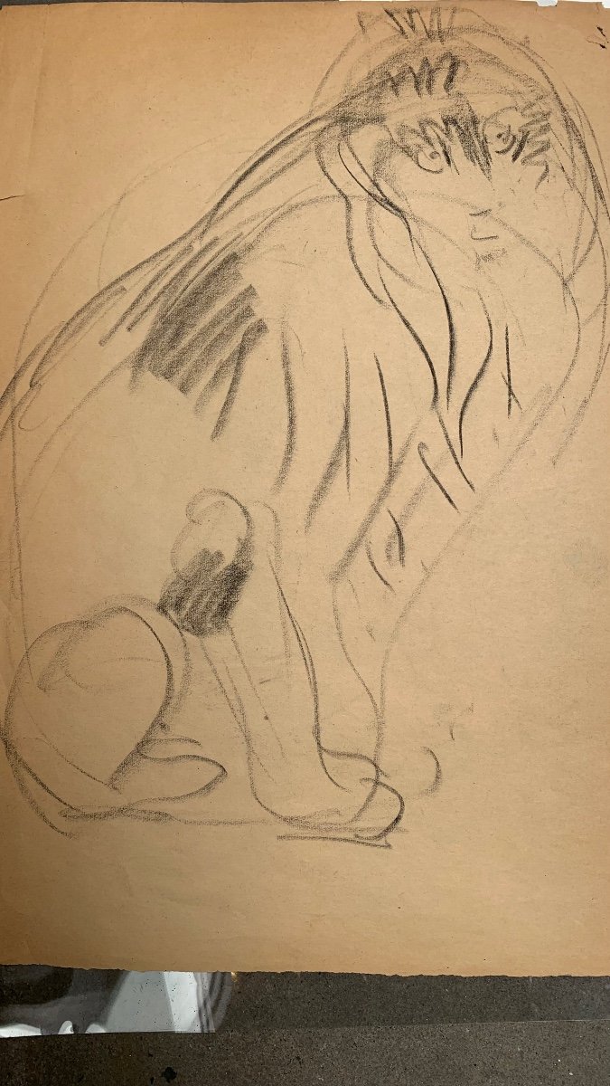 Disegno di animali felini del Artista Francese Gustave GUETANT (1873-1953) -photo-5