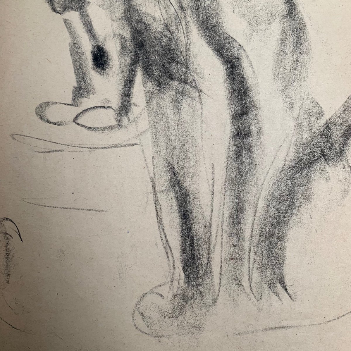 Disegno di animali felini del Artista Francese Gustave GUETANT (1873-1953) -photo-6