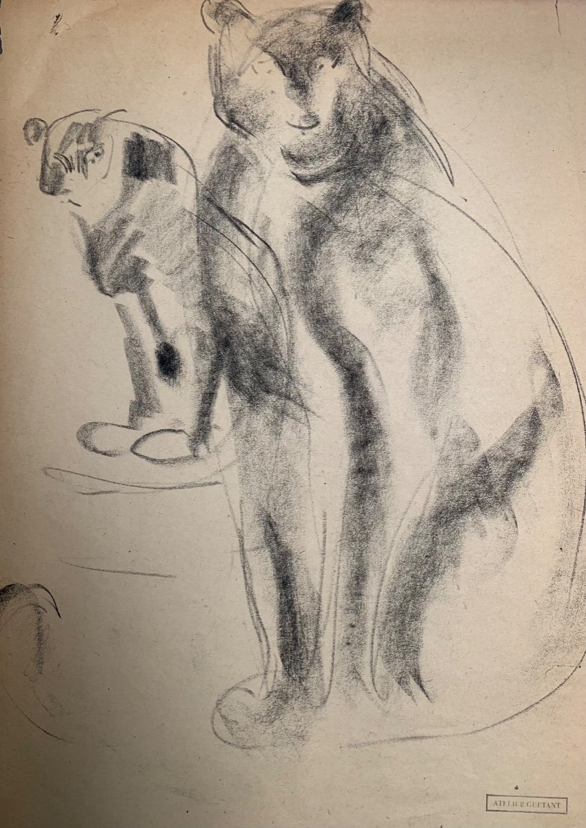 Disegno di animali felini del Artista Francese Gustave GUETANT (1873-1953) 