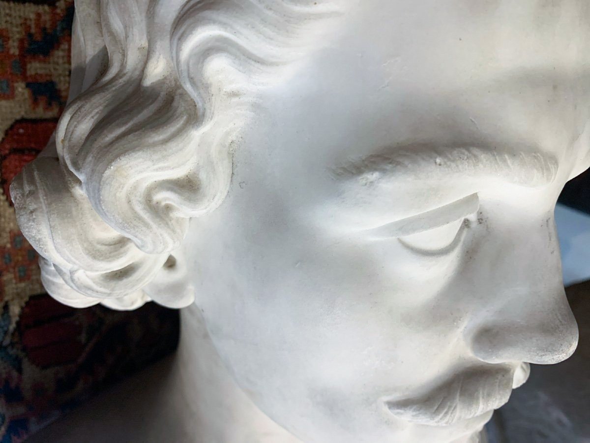 Busto maschile in marmo bianco statuario di Carrara. Ambito Toscano. Circa 1850. -photo-3