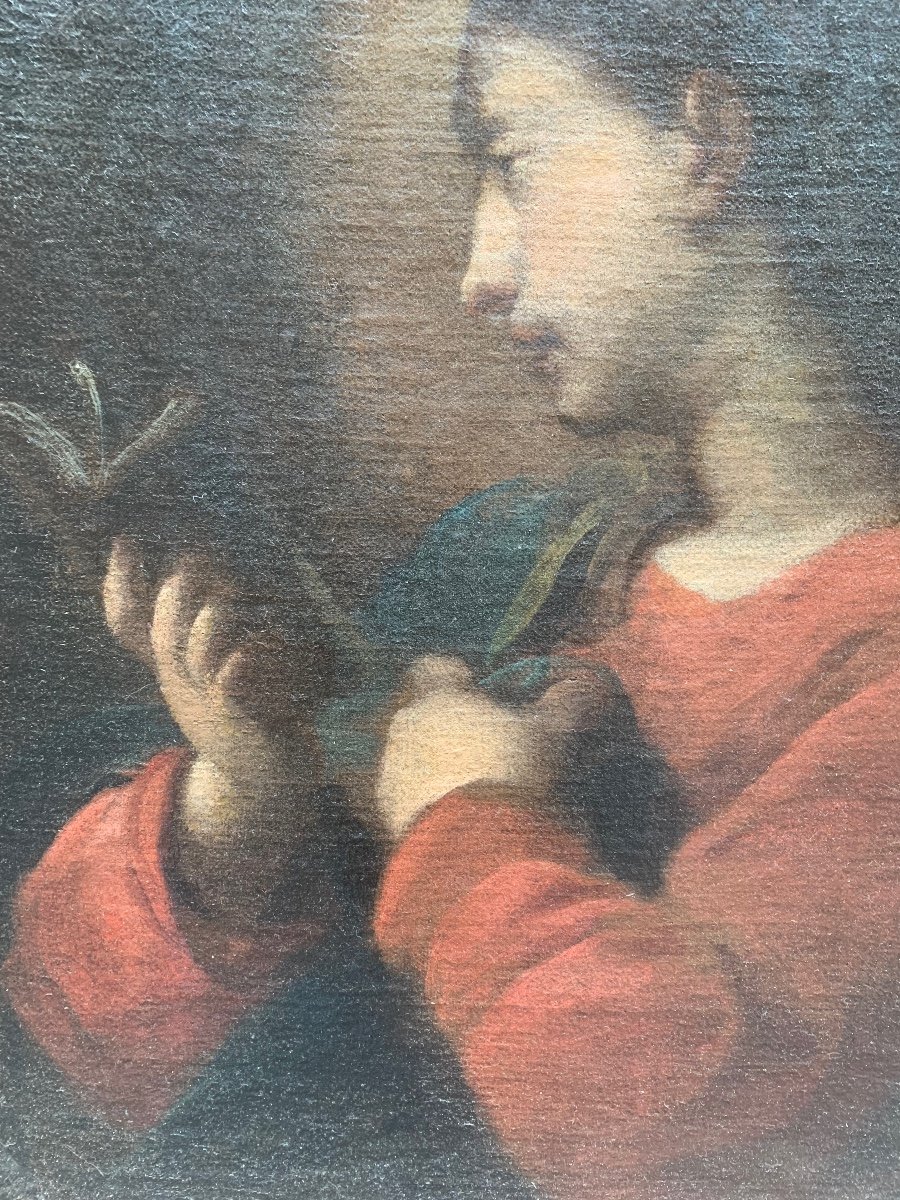 Madonna con il libro. Scuola Genovese. Seguace di Bernardo Strozzi. XVII secolo-photo-2