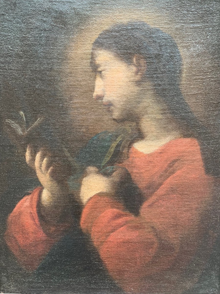 Madonna con il libro. Scuola Genovese. Seguace di Bernardo Strozzi. XVII secolo-photo-3