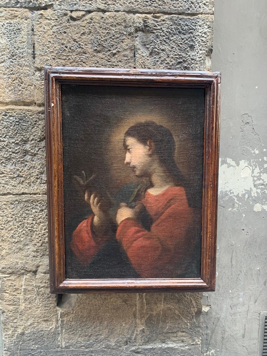 Madonna con il libro. Scuola Genovese. Seguace di Bernardo Strozzi. XVII secolo-photo-6