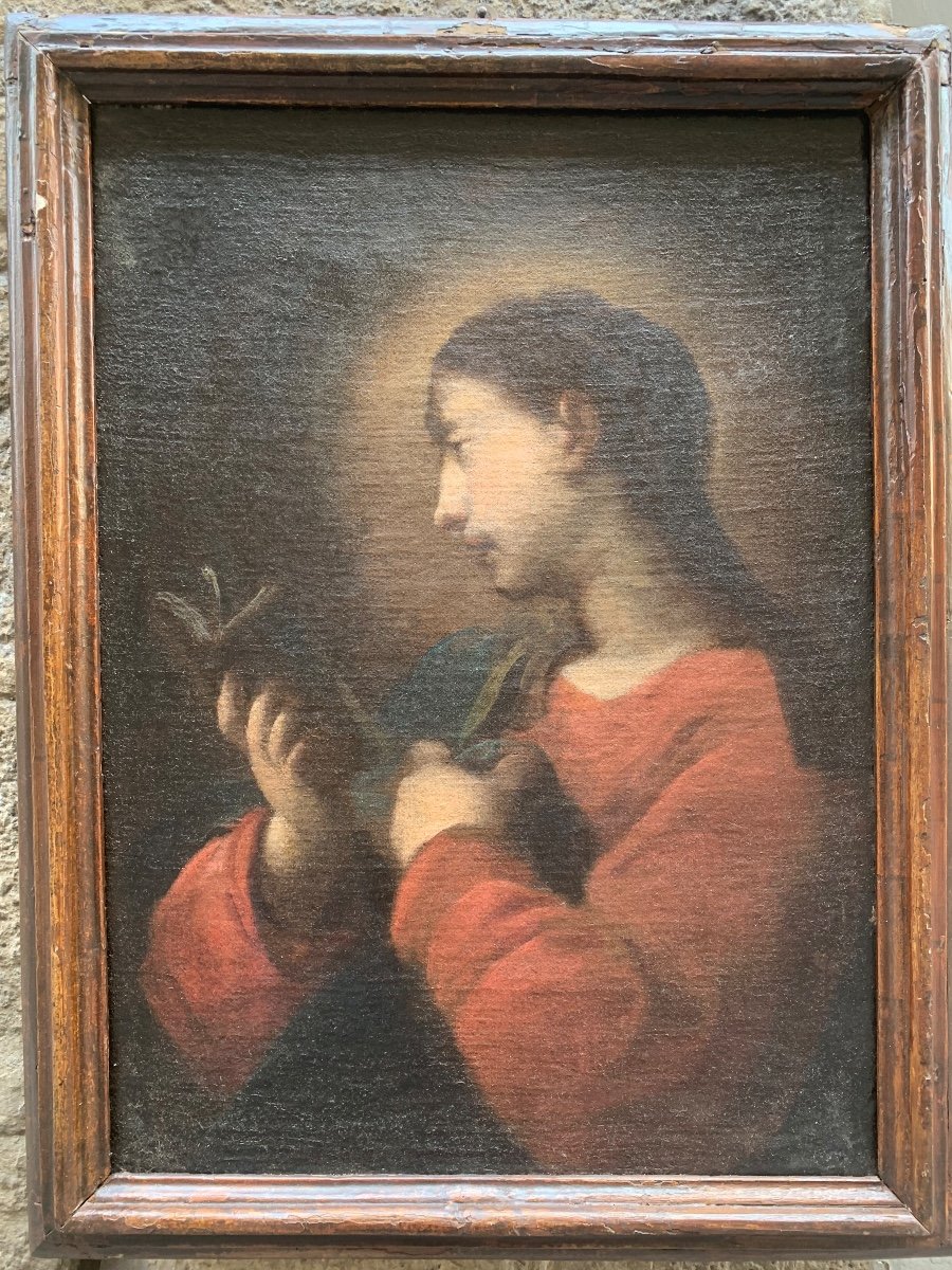 Madonna con il libro. Scuola Genovese. Seguace di Bernardo Strozzi. XVII secolo