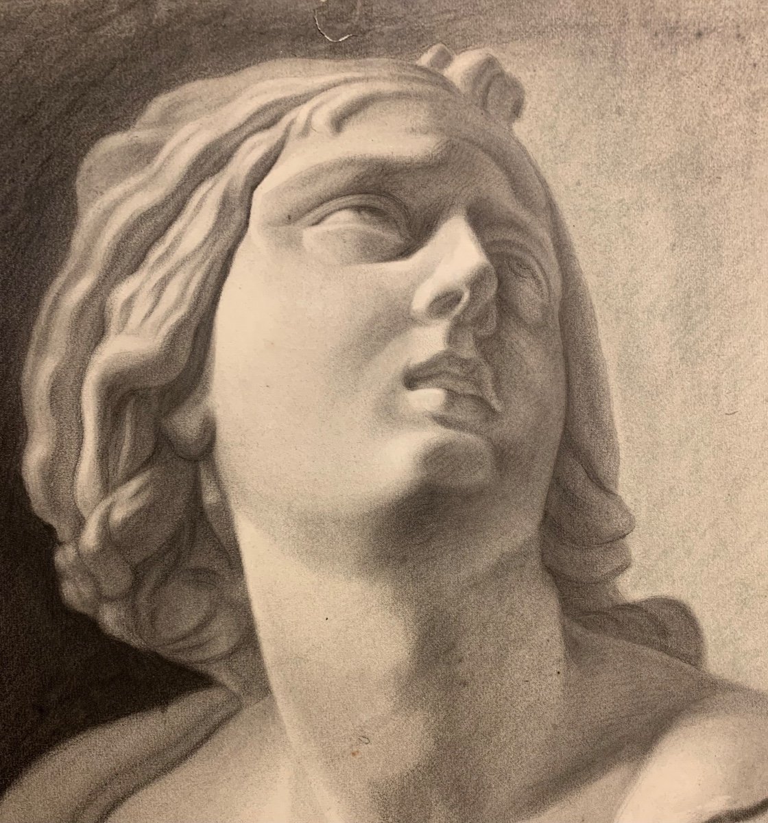 Disegno accademico di un busto scultura classica. XIX secolo-photo-4