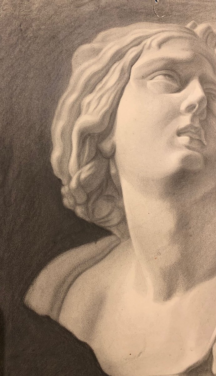 Disegno accademico di un busto scultura classica. XIX secolo-photo-5
