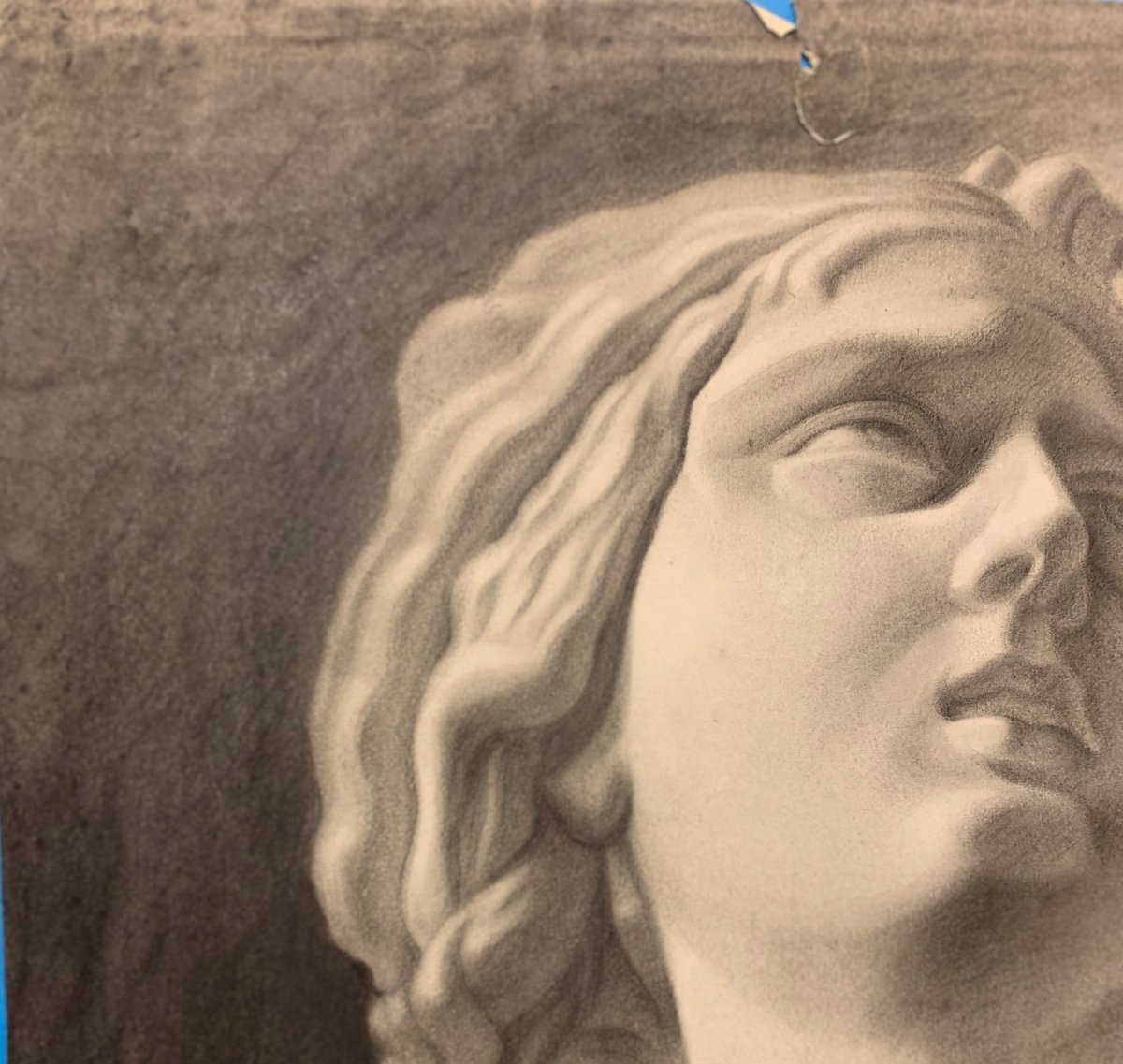 Disegno accademico di un busto scultura classica. XIX secolo-photo-7