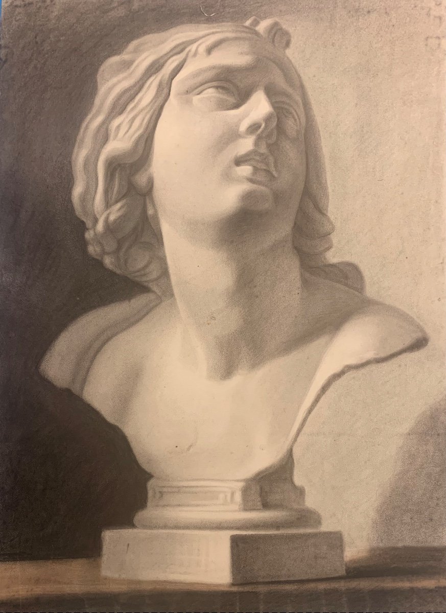 Disegno accademico di un busto scultura classica. XIX secolo