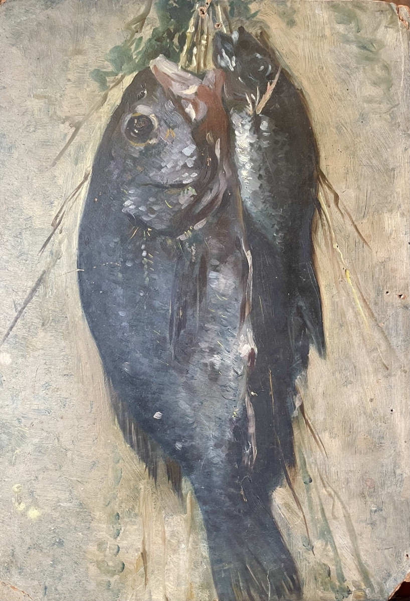 Bozzetto di pesci appena pescati appesi con un filo. Olio su cartone, 34 x 47 cm 