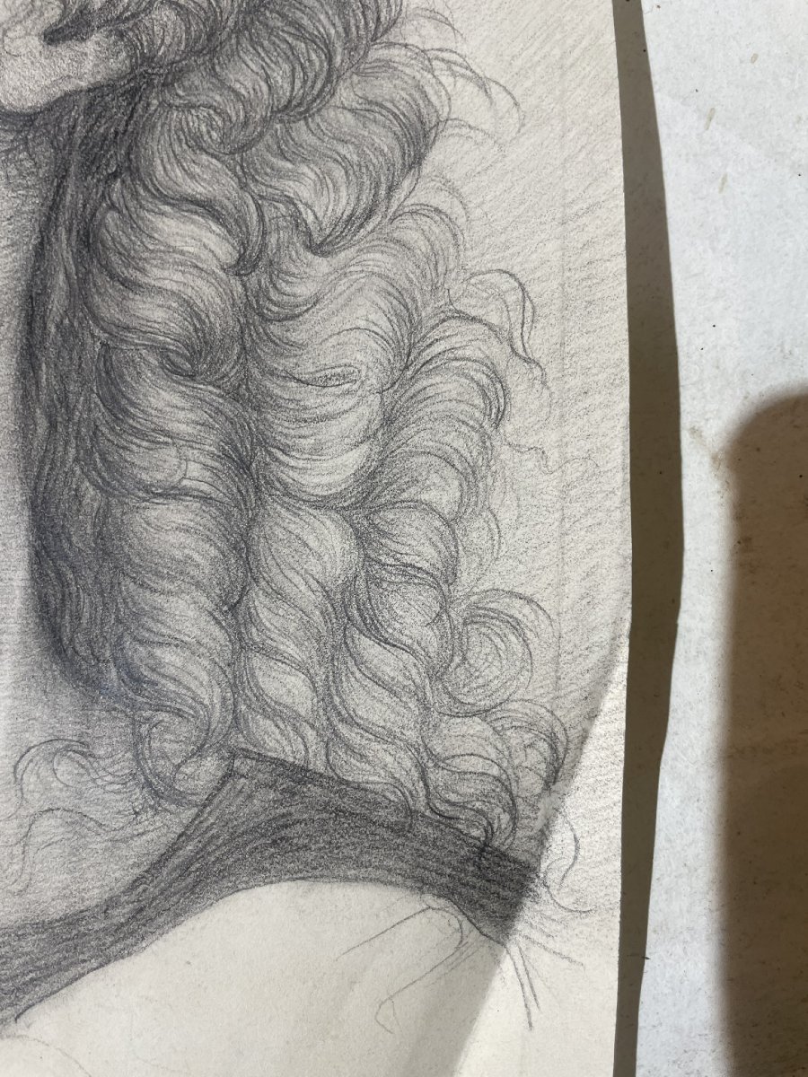 Testa con aureola, studio accademico ispirato a Perugino, scuola toscana, cm 40 × 28-photo-3