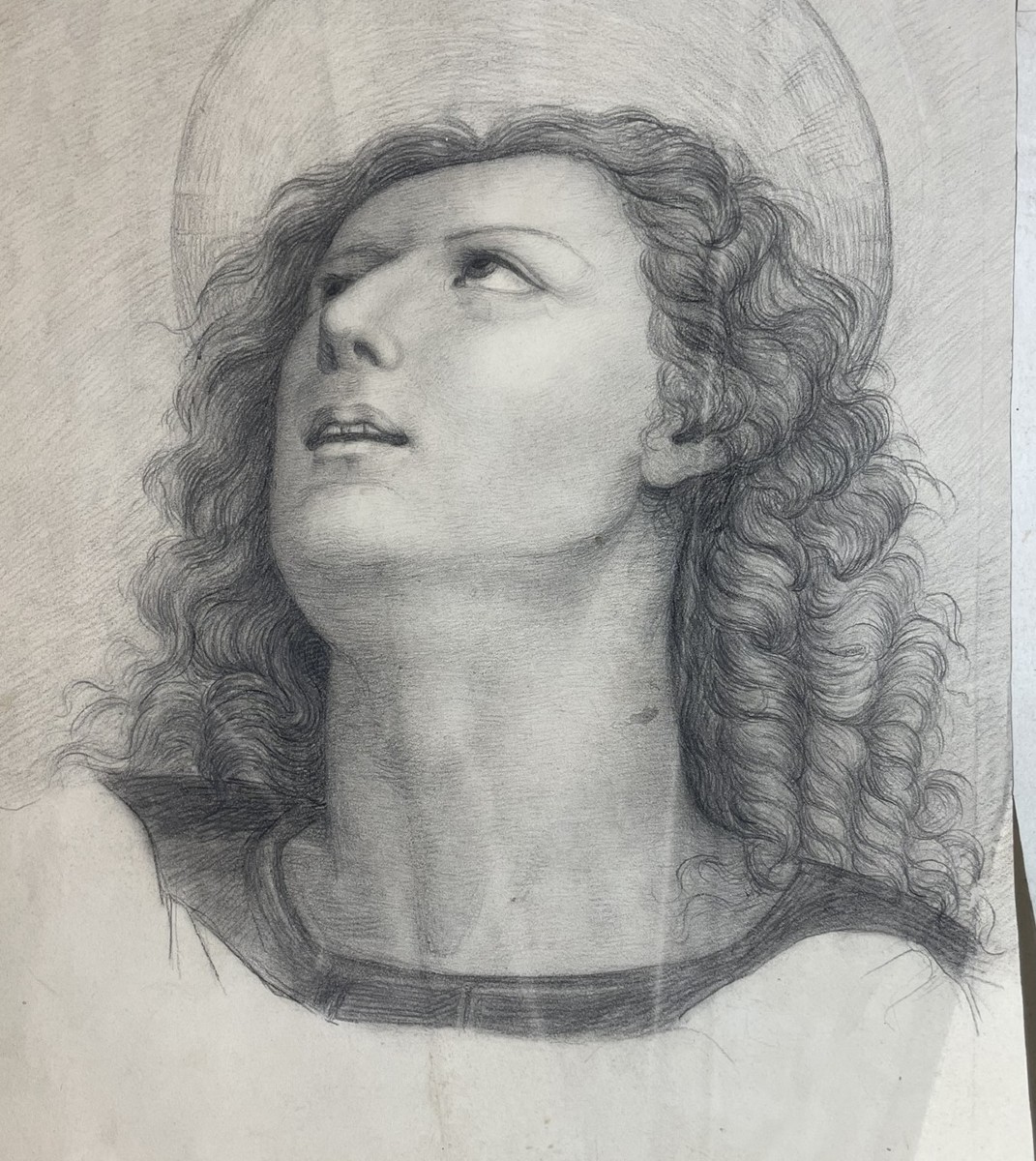 Testa con aureola, studio accademico ispirato a Perugino, scuola toscana, cm 40 × 28