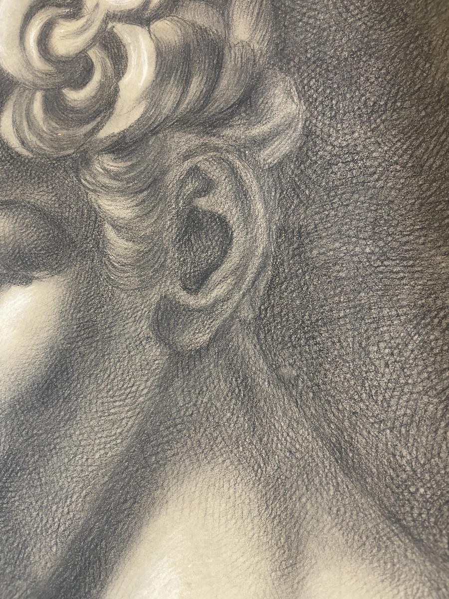 Studio accademico dal calco del David di Michelangelo, scuola toscana, 51 × 43 cm-photo-3